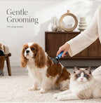 Professional Pet Deshedding Brush – Dual-Sided