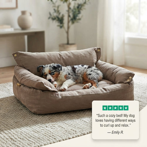 3-in-1 Convertible Plush Pet Bed – Foldable Sofa for Dogs & Cats