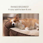 Large Calming Orthopedic Pet Bed for Dogs & Cat - Washable Quilted Cushion Pad