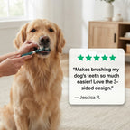 3-Sided Dog Toothbrush Tartar Remover Teeth Cleaning Hygienic Pet Care