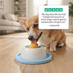 Interactive Lick Mat Ball - Slow Feeder Treat Ball for Dogs & Cats