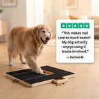 Pet Nail Scratch Board w/ Treat Drawer-Mental Enrichment Grooming Tool