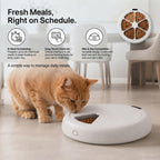 Automatic Pet Feeder for Cats & Dogs - 6 Meal Food Dispenser Timer