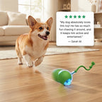 Interactive Rolling Ball Dog & Cat Toy-Rechargeable Mental Stimulation